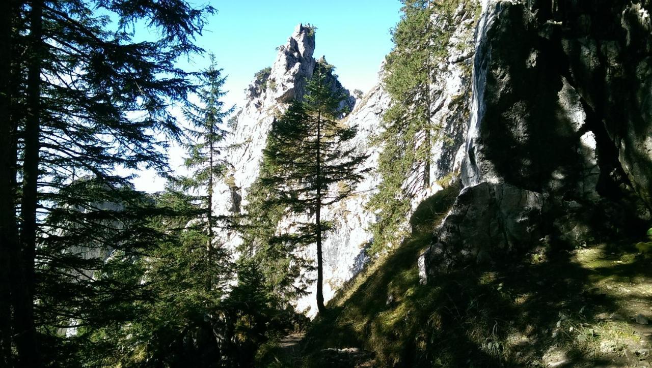 Fw Weissensee 44 Füssen Екстериор снимка