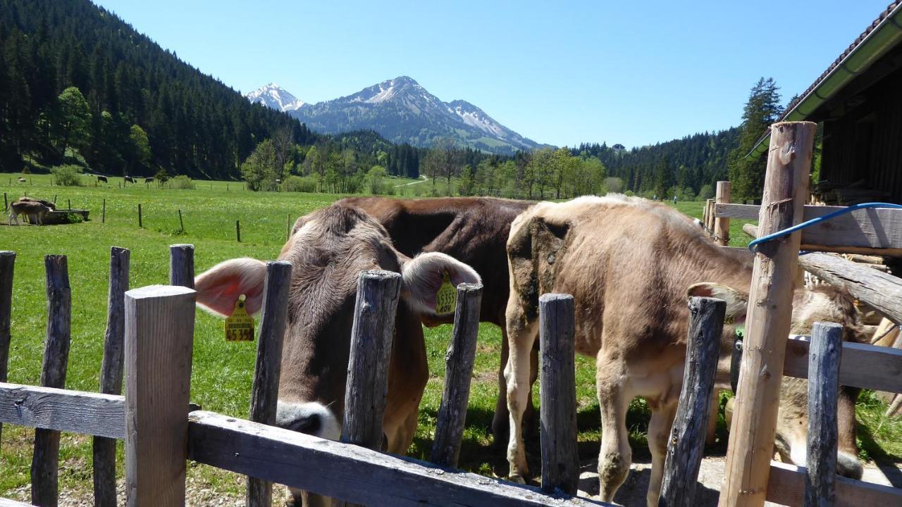 Fw Weissensee 44 Füssen Екстериор снимка