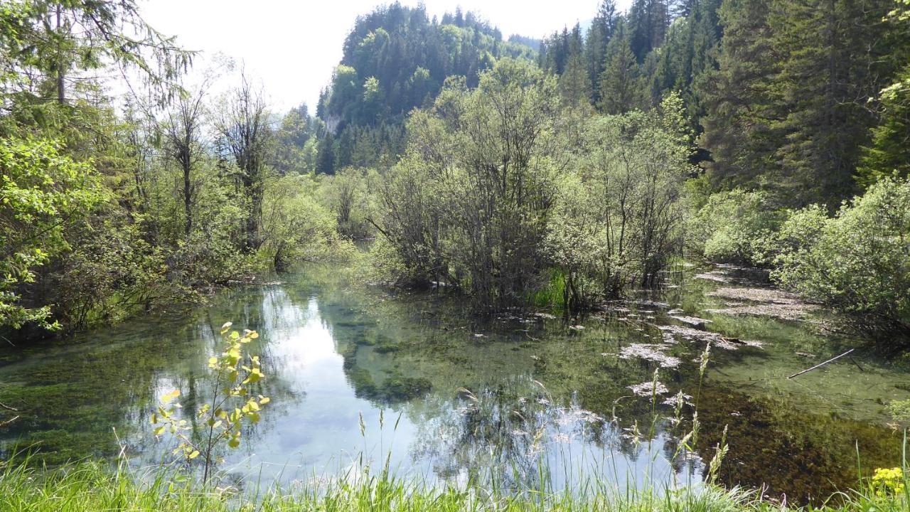 Fw Weissensee 44 Füssen Екстериор снимка